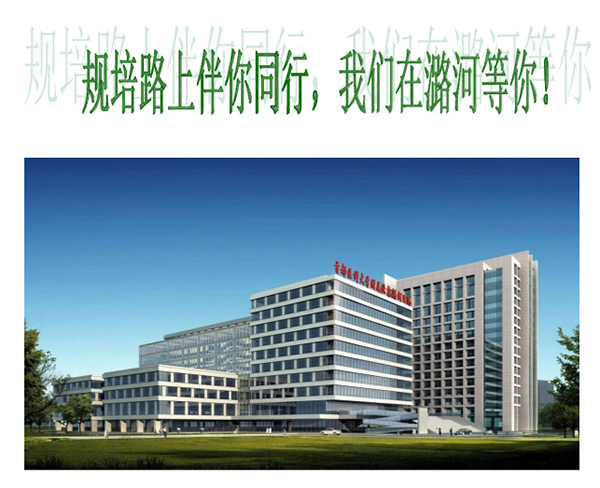 图片-33.jpg