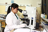 高端显微镜分析骨髓细胞